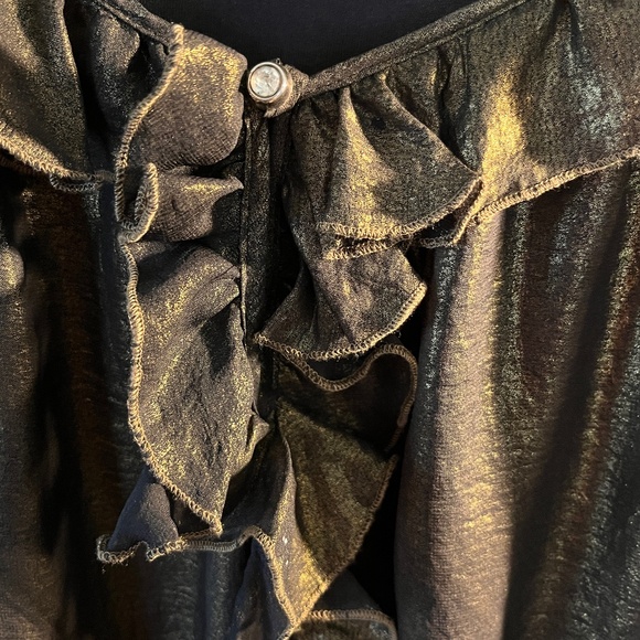 Cupio - Metallic Bronze semi sheer, lined long sleeve blouse - Picture 10 of 11